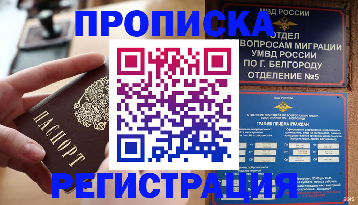 временная регистрация недорого в Североморске